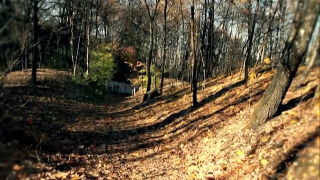 Влад Корнилов — Золотая Осень